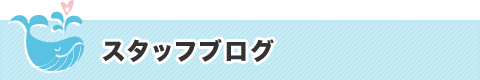 スタッフブログ